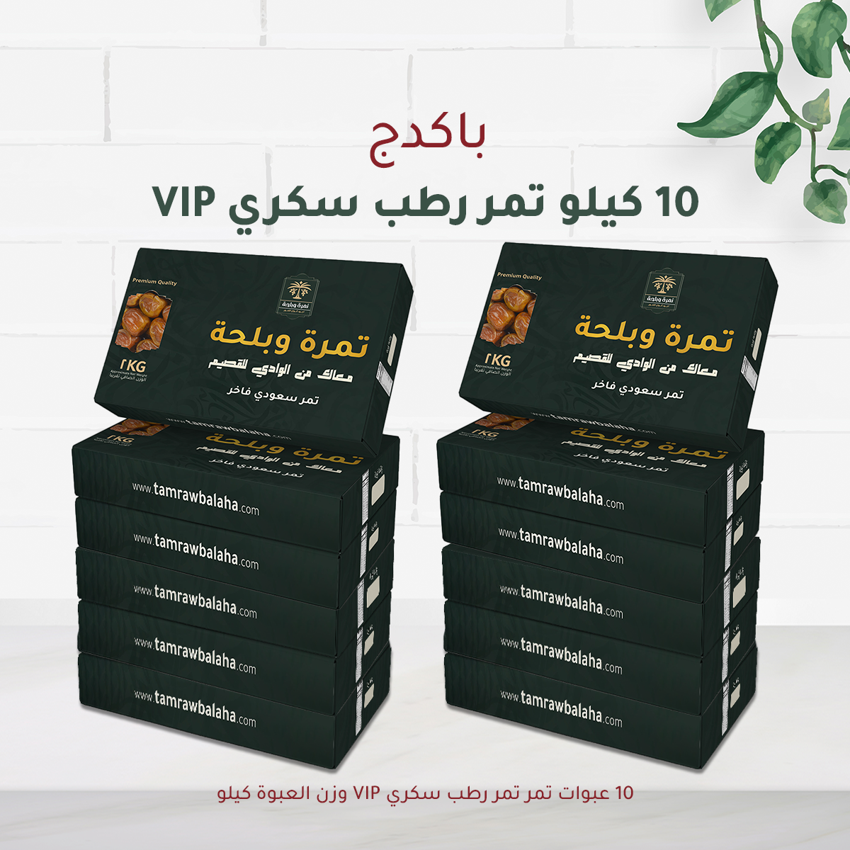 10 KG of VIP Rutab dates