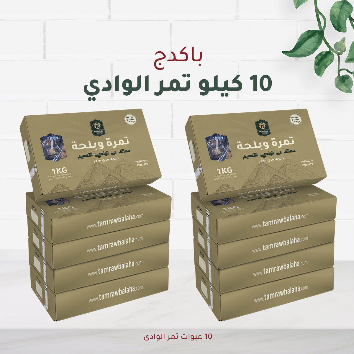 10 kg package, Egyptian Wadi Dates