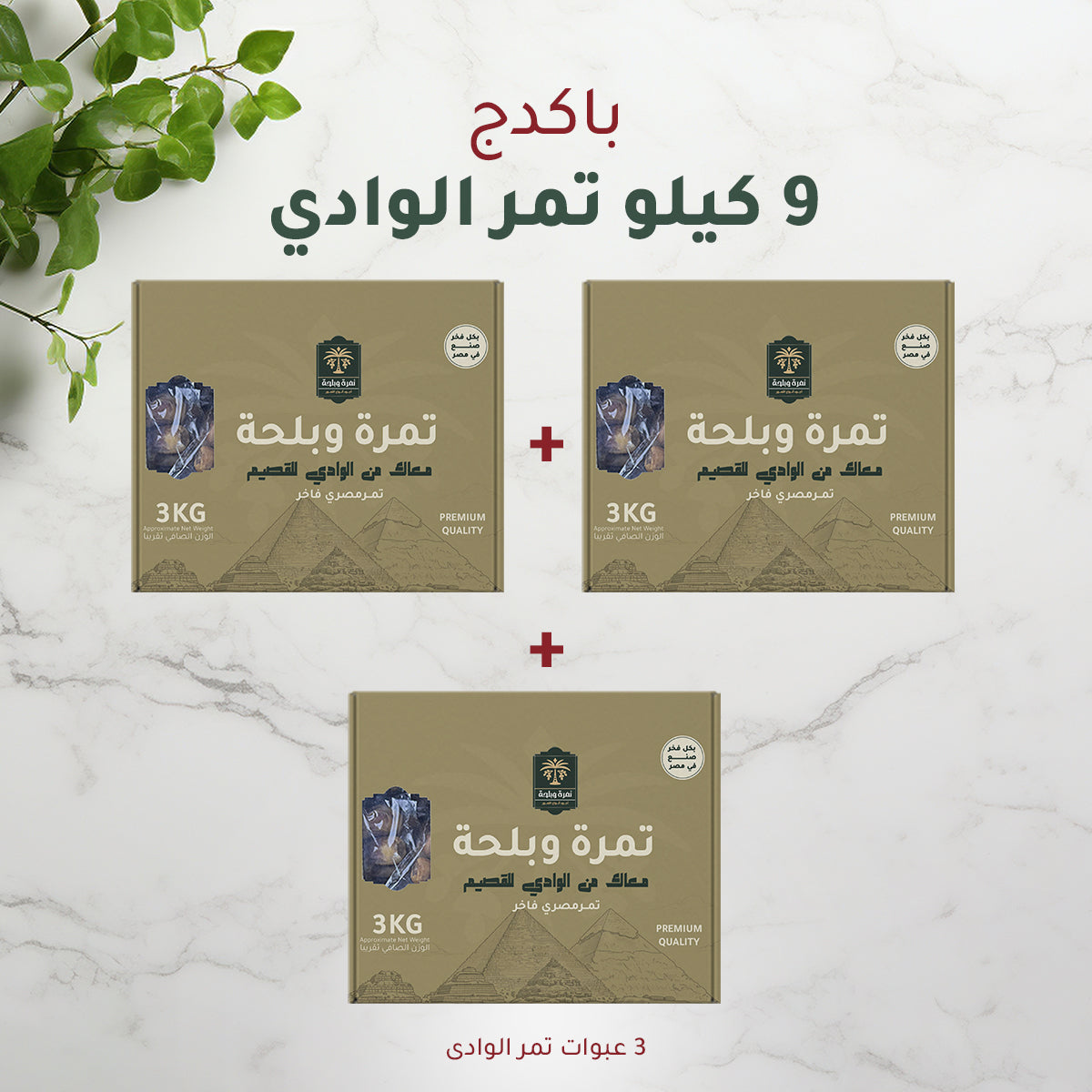 9 kg package, Egyptian Wadi Dates