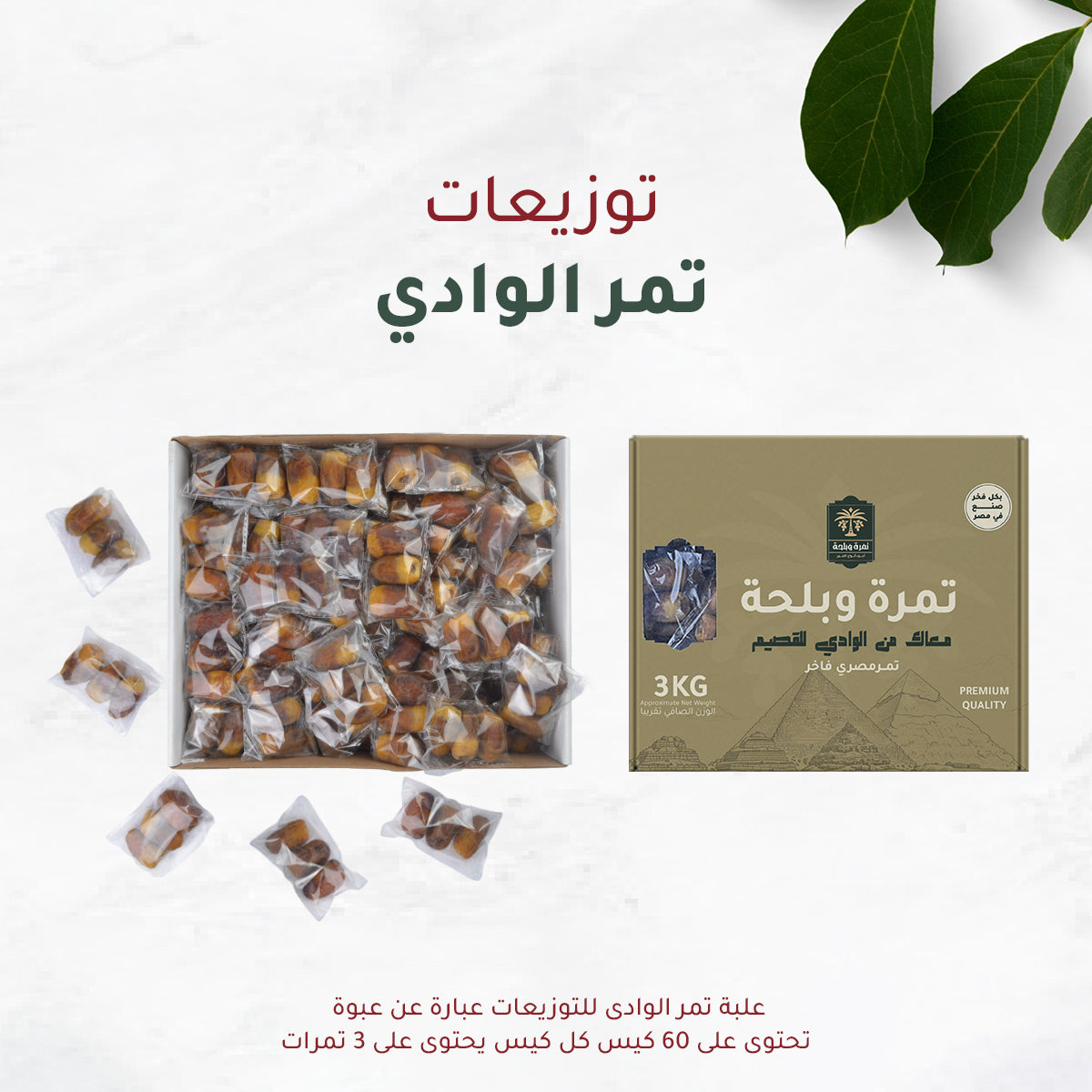 Wadi Dates Distributions