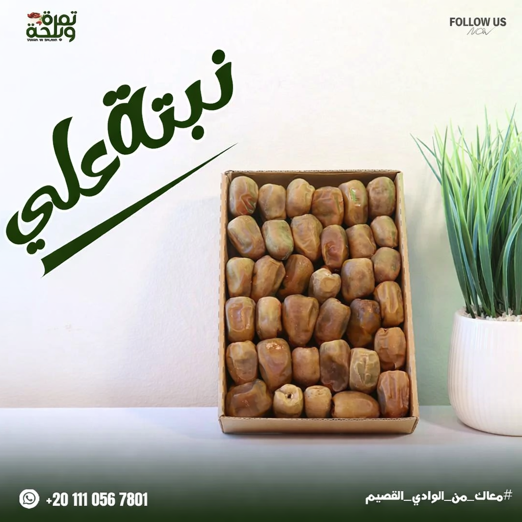 Nebt Ali Dates